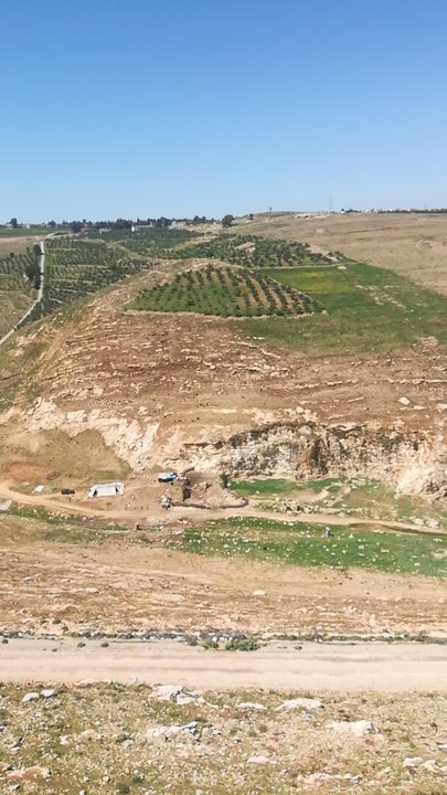 مشاركاتي في أنت الراصد