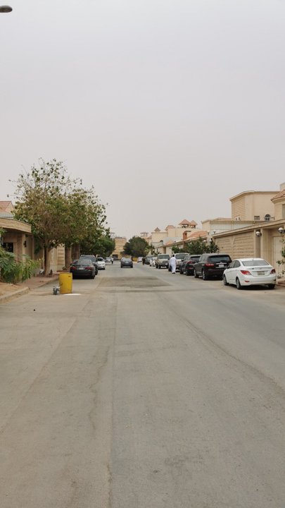 مشاركاتي في أنت الراصد