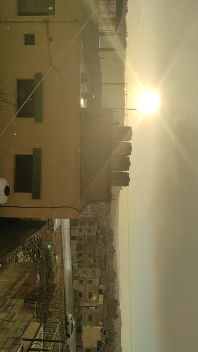 مشاركاتي في أنت الراصد