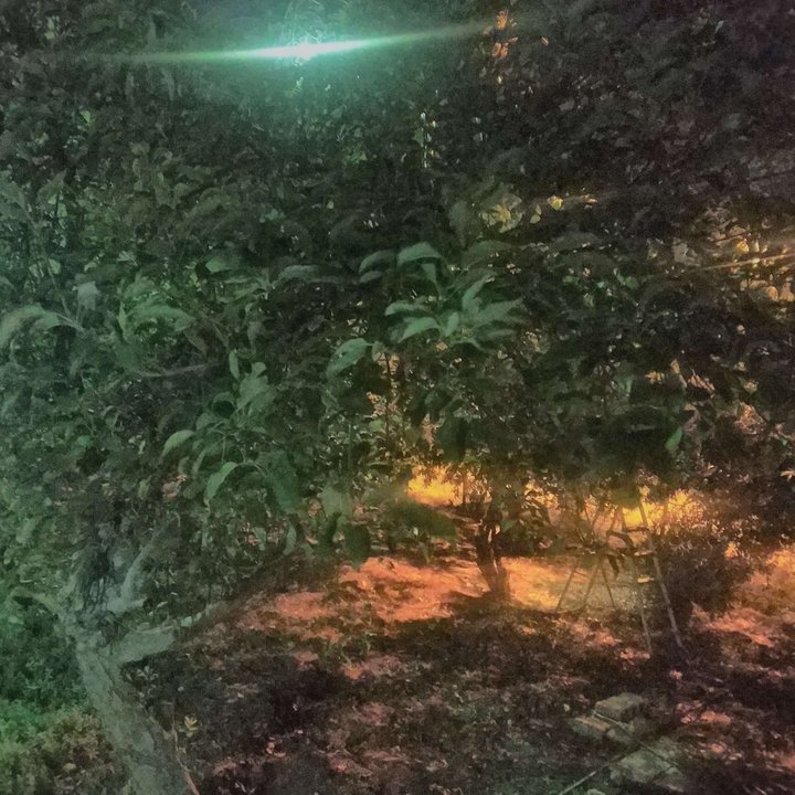 My Crowdsourcing Posts