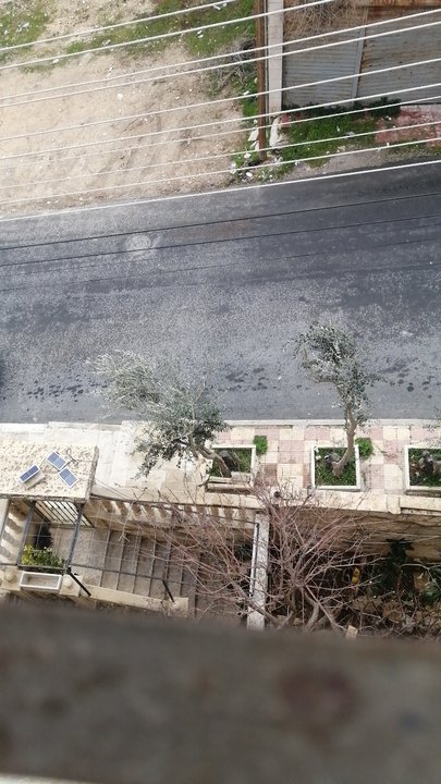 مشاركاتي في أنت الراصد