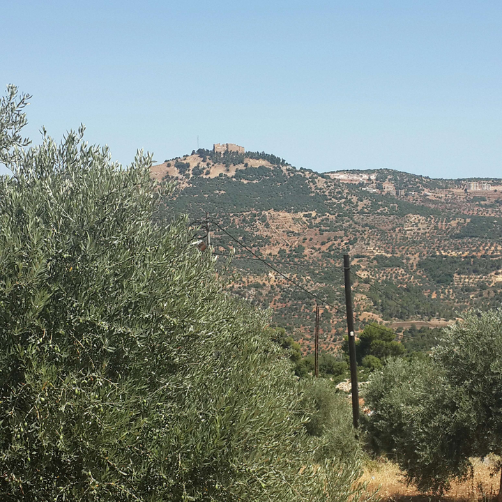 My Crowdsourcing Posts