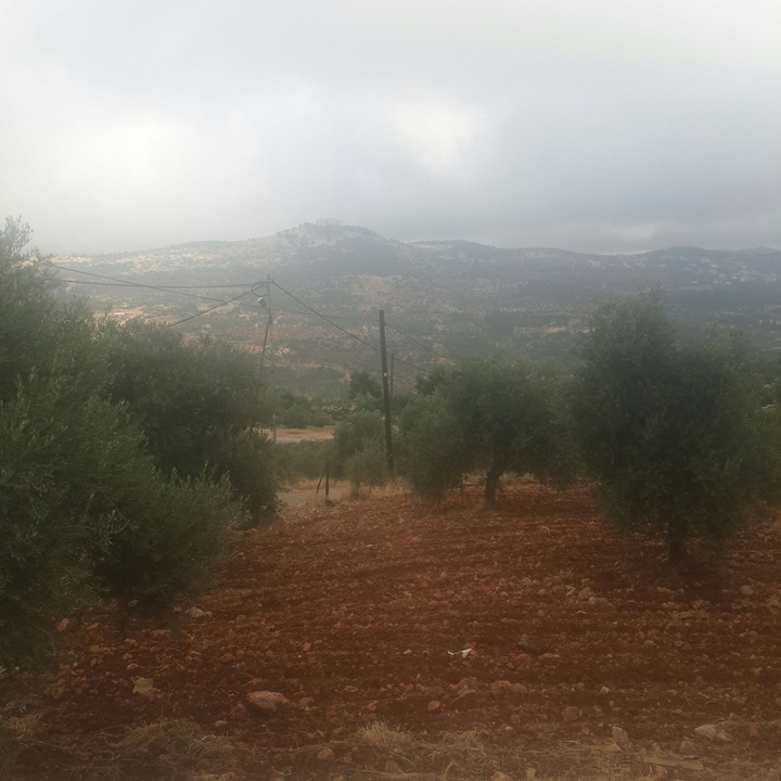 My Crowdsourcing Posts