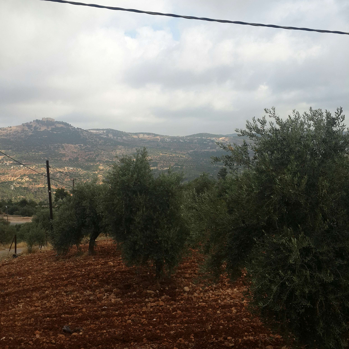 My Crowdsourcing Posts