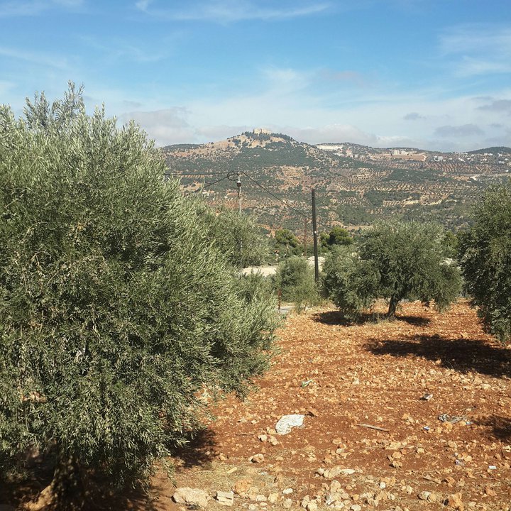 My Crowdsourcing Posts