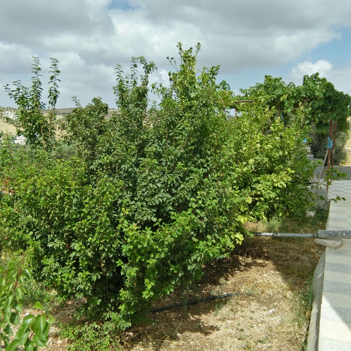 My Crowdsourcing Posts