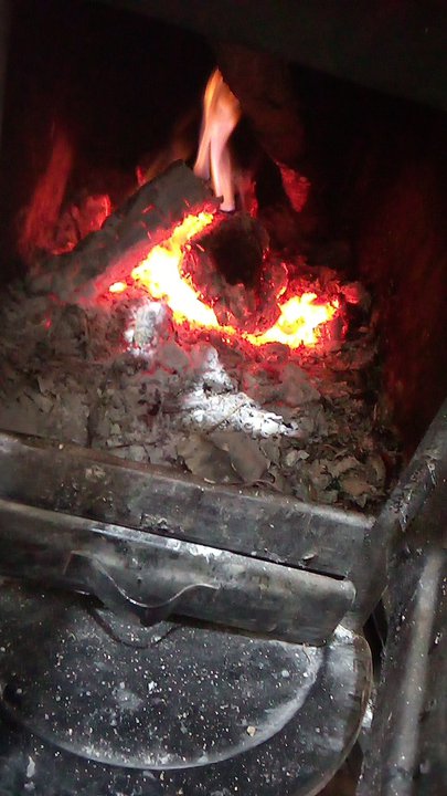 مشاركاتي في أنت الراصد