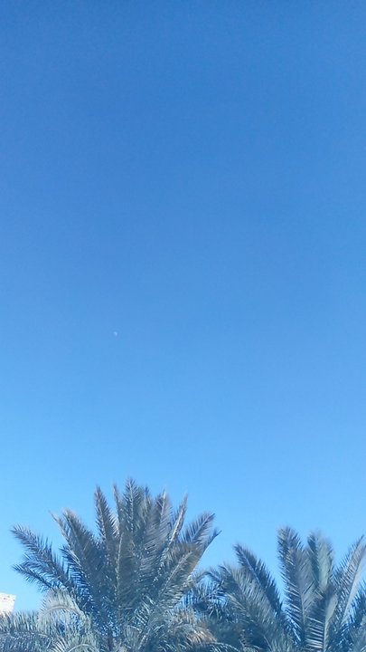 مشاركاتي في أنت الراصد