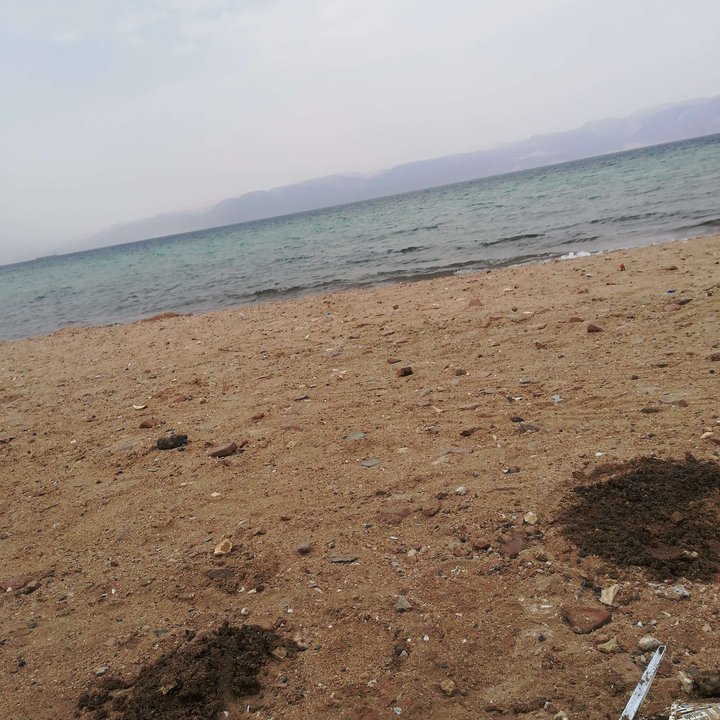 My Crowdsourcing Posts