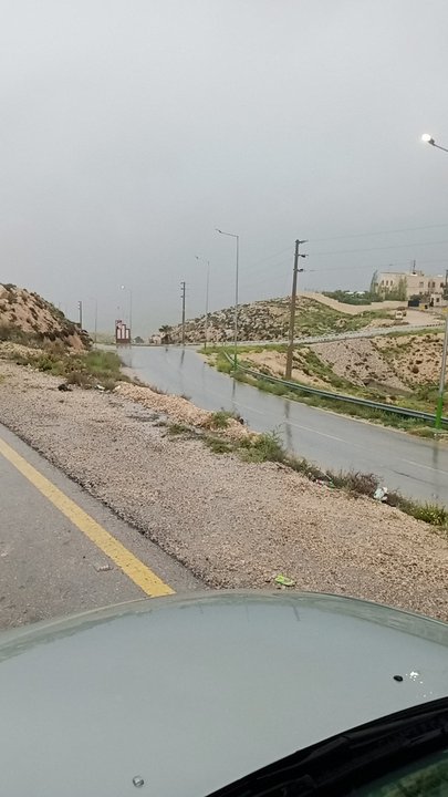 مشاركاتي في أنت الراصد