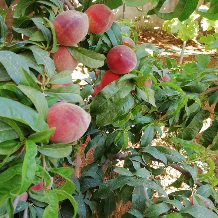 My Crowdsourcing Posts