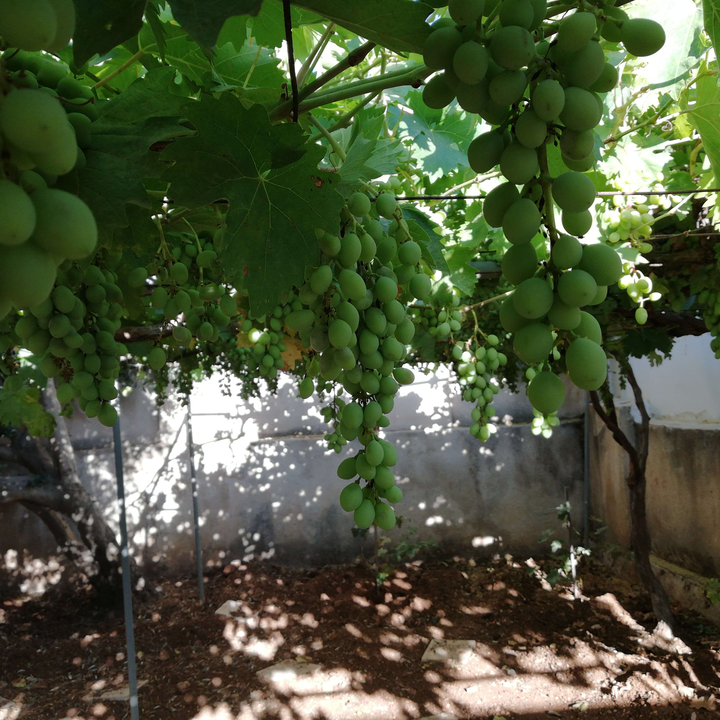 My Crowdsourcing Posts