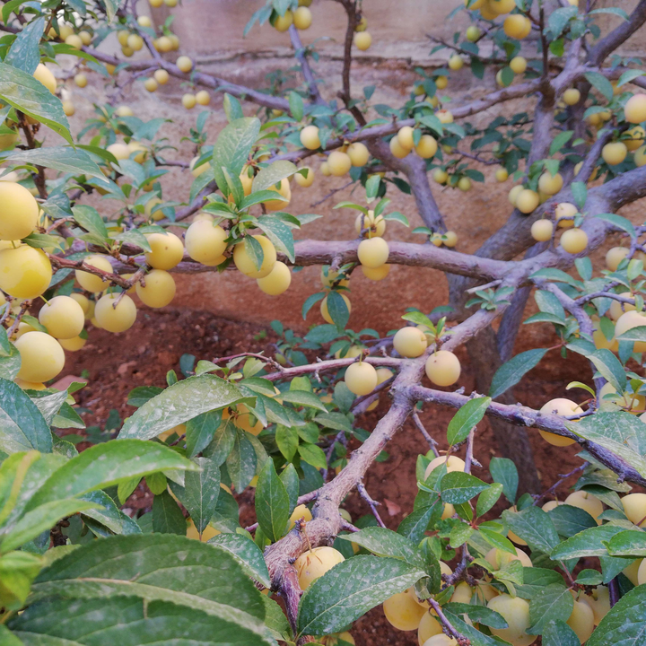 My Crowdsourcing Posts