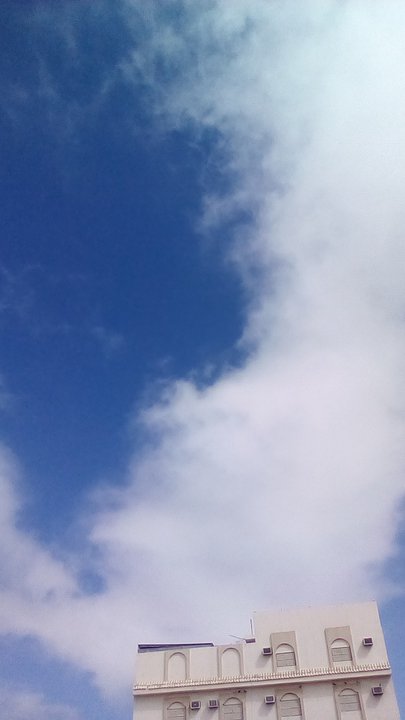 مشاركاتي في أنت الراصد