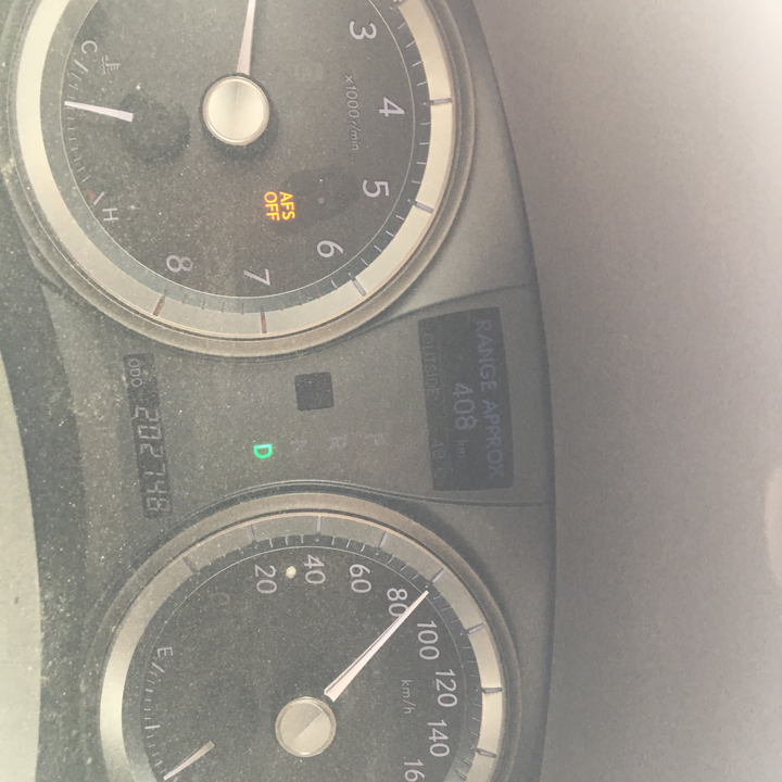 مشاركاتي في أنت الراصد