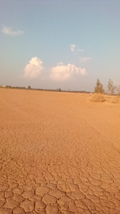 مشاركاتي في أنت الراصد