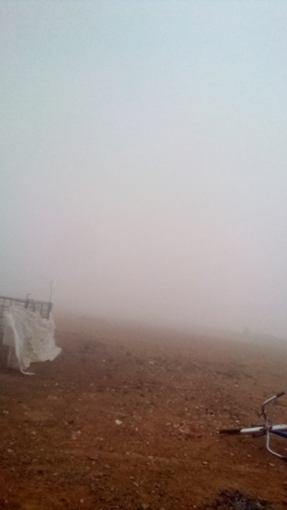 مشاركاتي في أنت الراصد