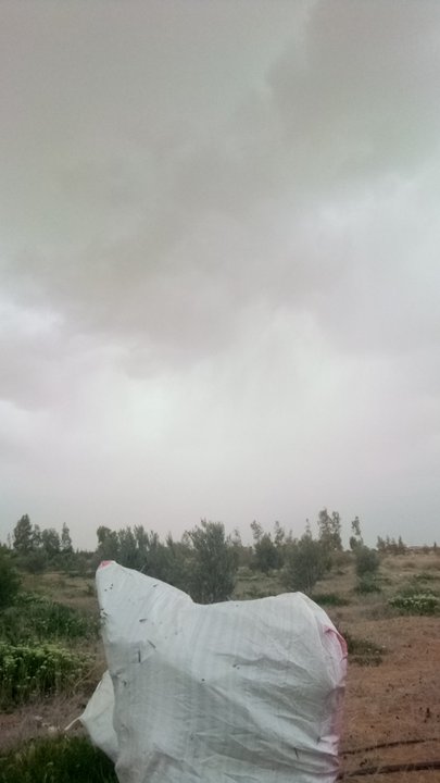 مشاركاتي في أنت الراصد