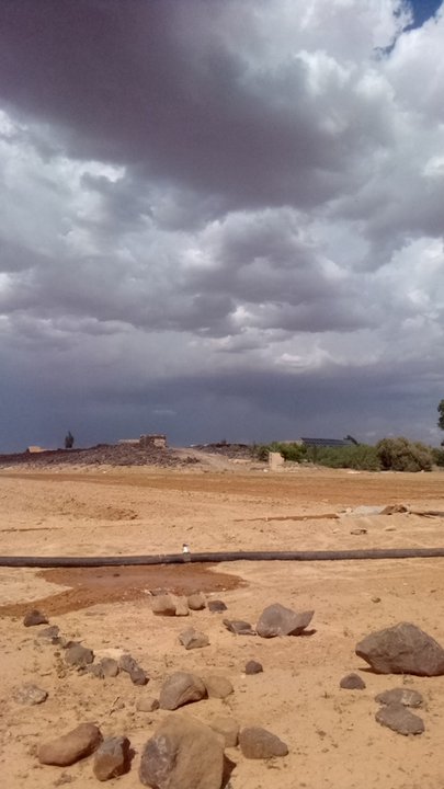 مشاركاتي في أنت الراصد