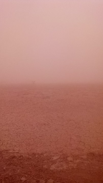 مشاركاتي في أنت الراصد