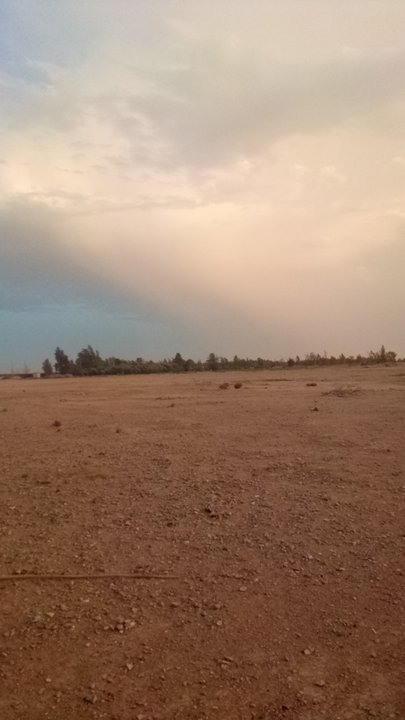 مشاركاتي في أنت الراصد