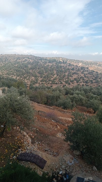 مشاركاتي في أنت الراصد