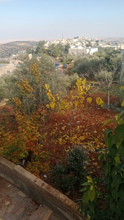 مشاركاتي في أنت الراصد