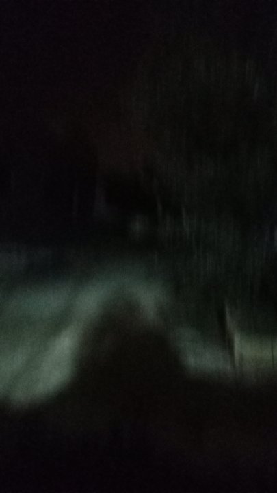 مشاركاتي في أنت الراصد