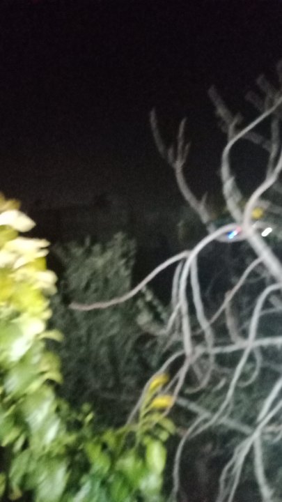 مشاركاتي في أنت الراصد