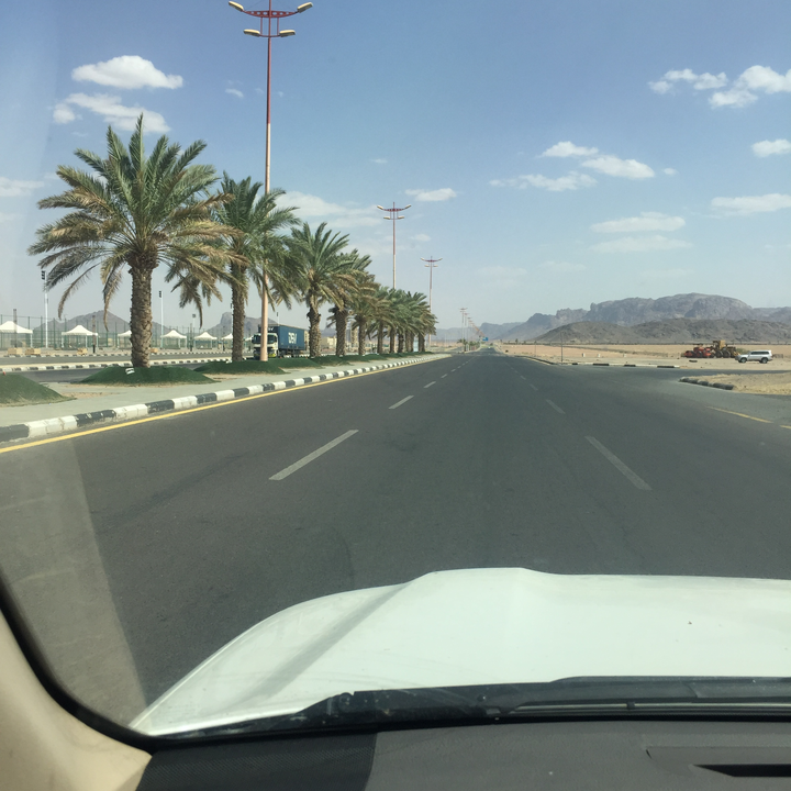 مشاركاتي في أنت الراصد