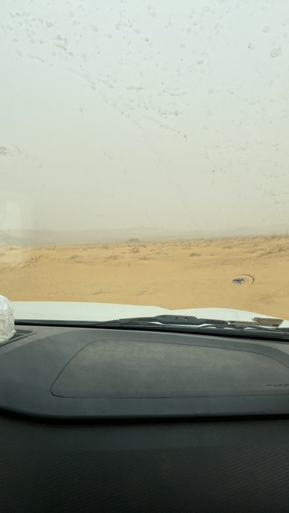 مشاركاتي في أنت الراصد