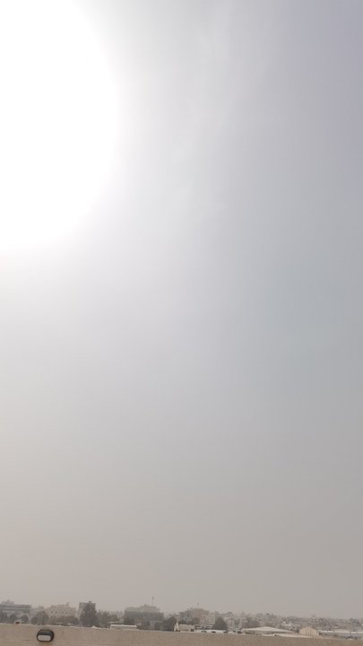 مشاركاتي في أنت الراصد