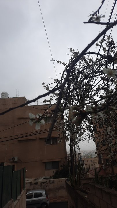 My Crowdsourcing Posts