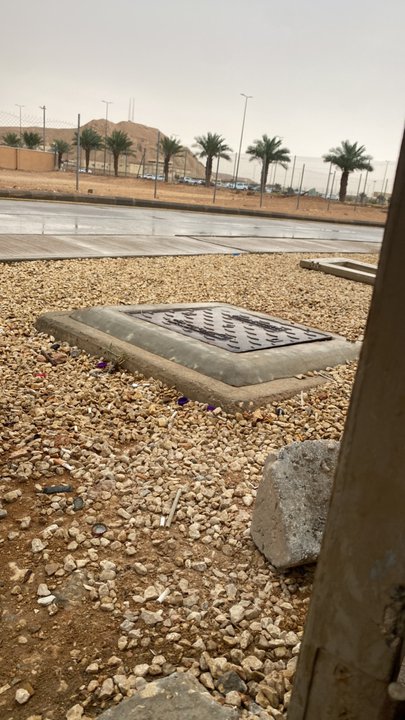 مشاركاتي في أنت الراصد