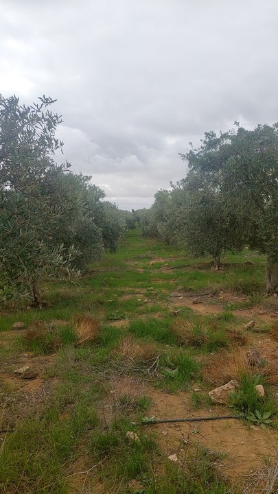 My Crowdsourcing Posts