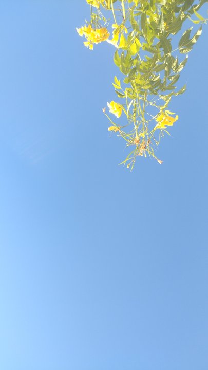 My Crowdsourcing Posts