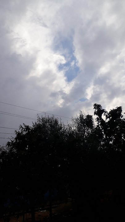 مشاركاتي في أنت الراصد