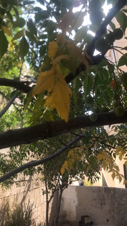 Mes publications Crowdsourcing