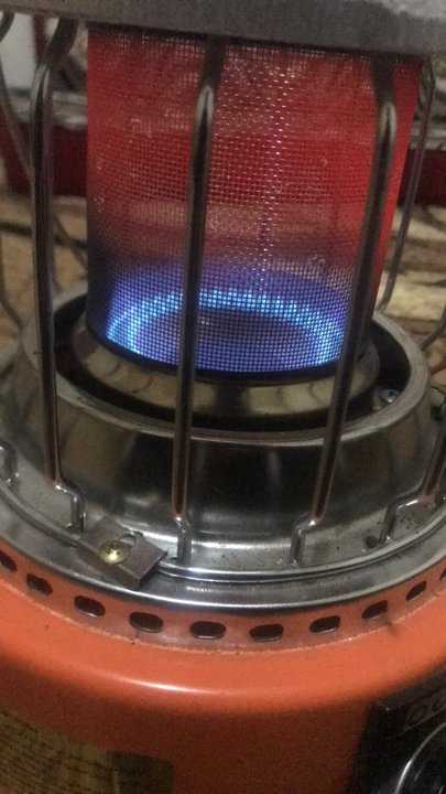 مشاركاتي في أنت الراصد