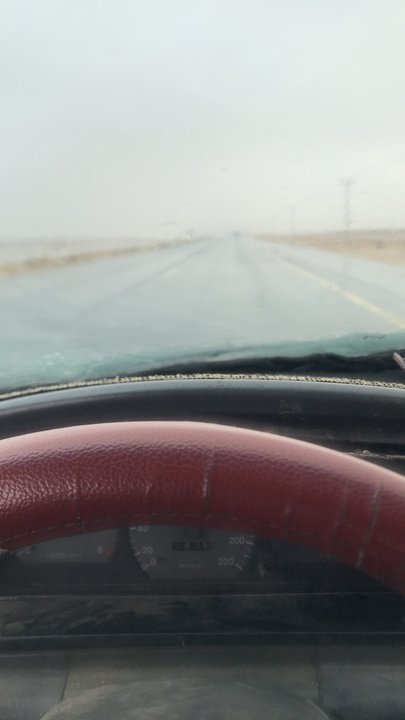 مشاركاتي في أنت الراصد