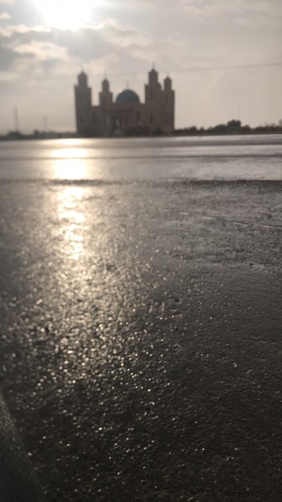 مشاركاتي في أنت الراصد