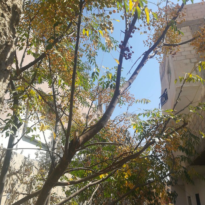 My Crowdsourcing Posts