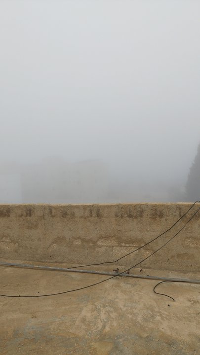 مشاركاتي في أنت الراصد