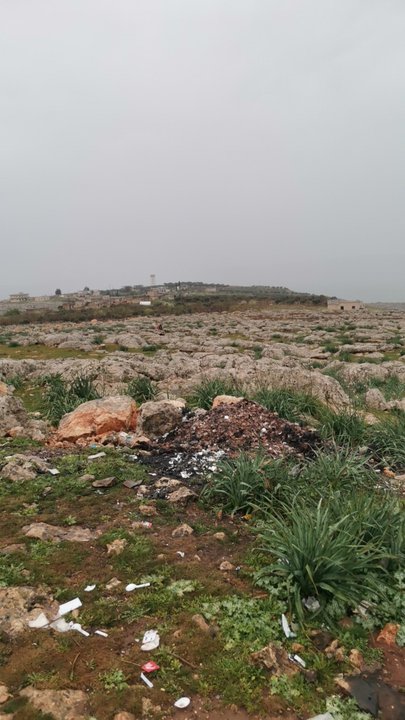 مشاركاتي في أنت الراصد