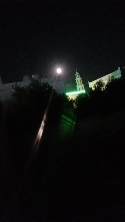 مشاركاتي في أنت الراصد