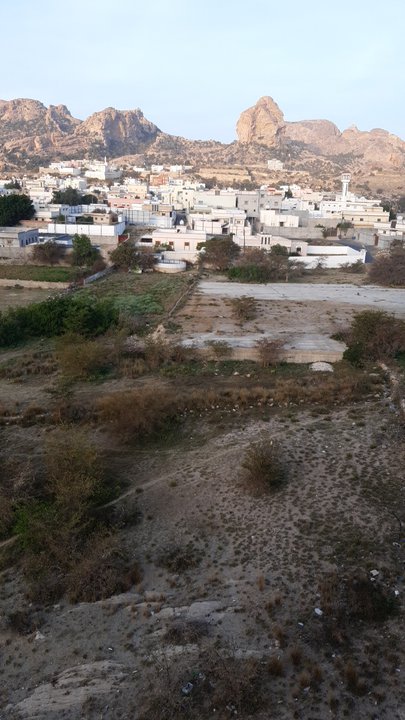 مشاركاتي في أنت الراصد