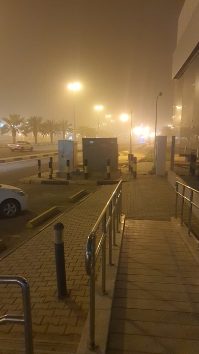 مشاركاتي في أنت الراصد