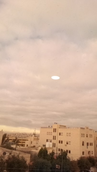 مشاركاتي في أنت الراصد