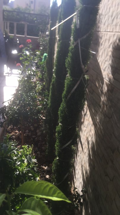 My Crowdsourcing Posts