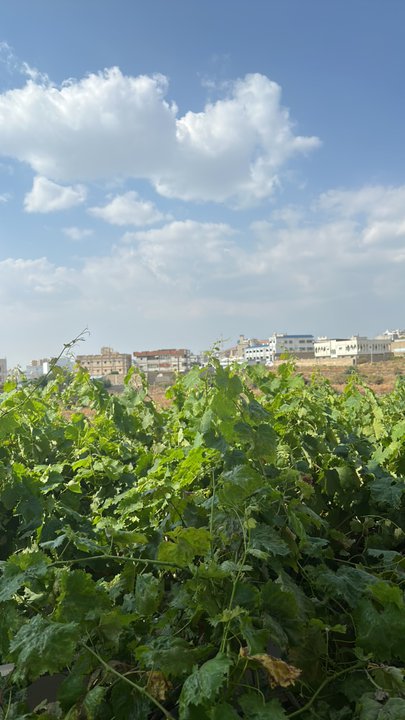 My Crowdsourcing Posts